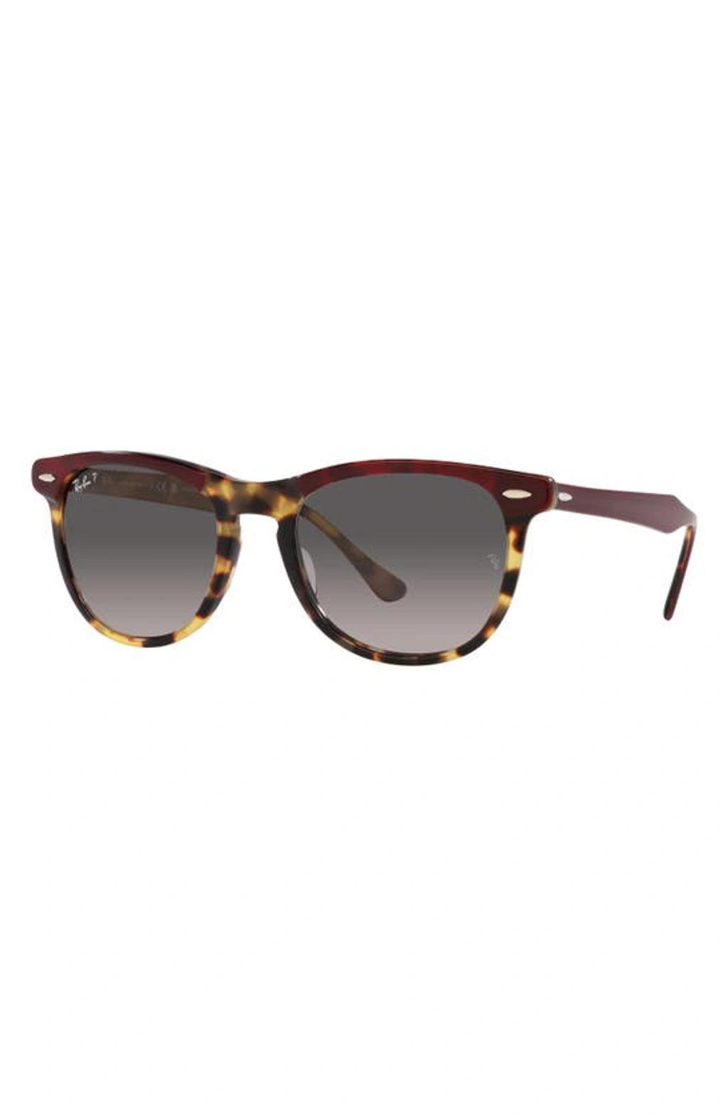 RAY BAN 56mm Gradient Polarized Square Sunglasses In Bordeaux Product Image