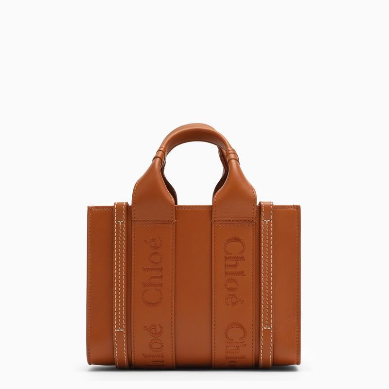 Woody Mini Handbag In Brown Product Image