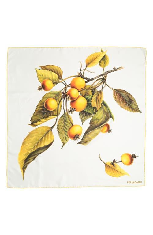 Womens Persimmon Silk Scarf Product Image