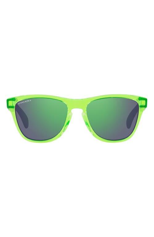 Oakley Frogskins 48mm Small Square Sunglasses Product Image