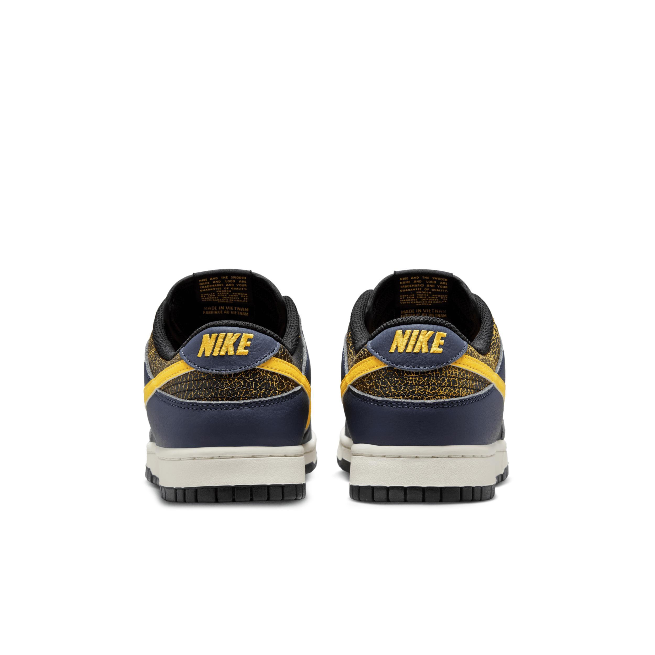 Nike Men's Dunk Low Retro Shoes Product Image