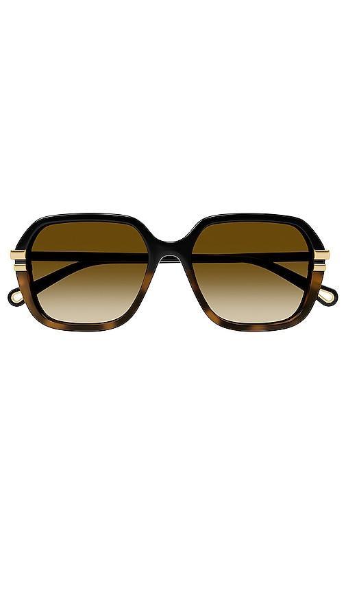 Womens Sunglasses, CH0204S Product Image