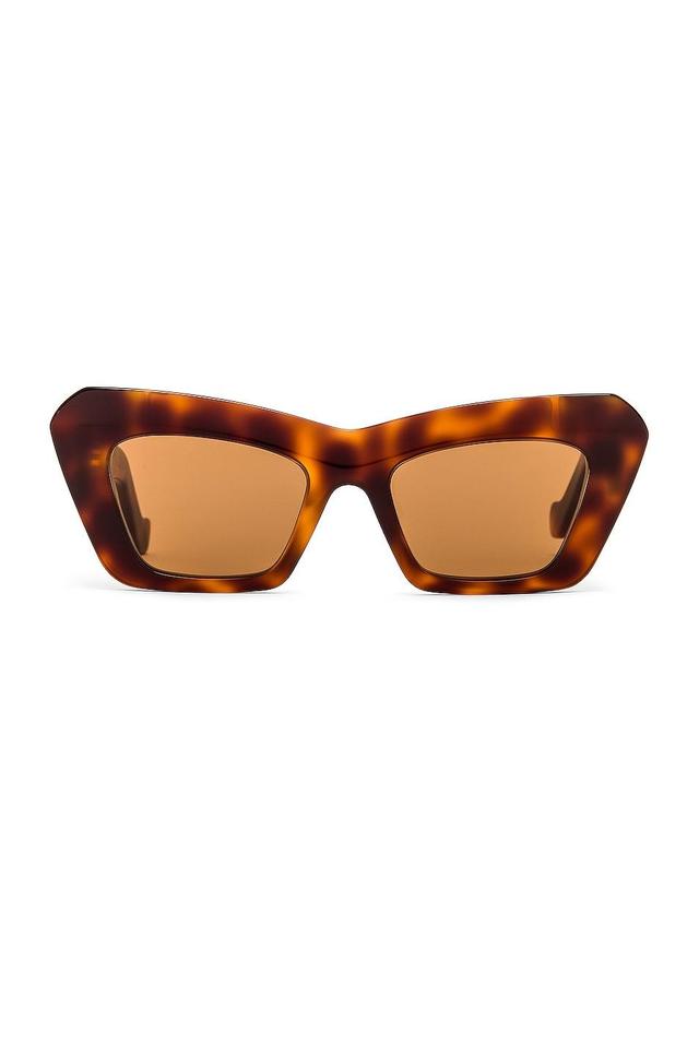 Loewe Acetate Cateye Sunglasses Brown.. Product Image