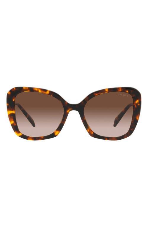 Prada 53mm Butterfly Sunglasses Product Image