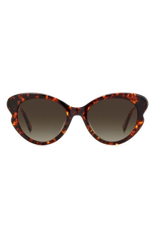 elina gradient acetate cat-eye sunglasses Product Image