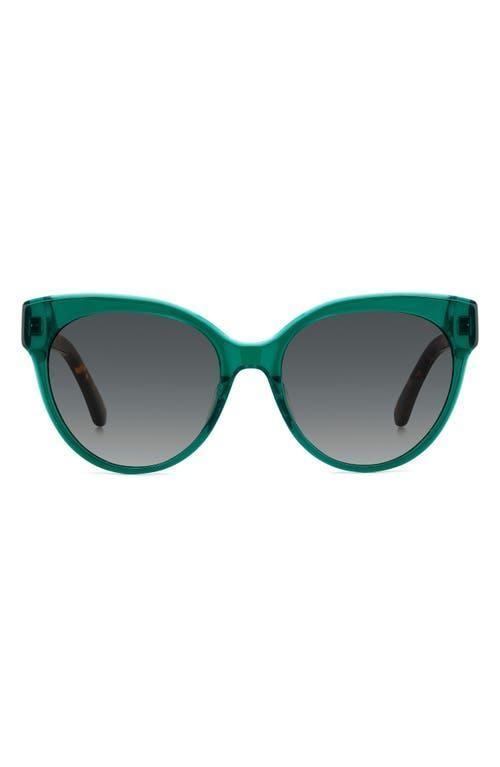 aubriela acetate round sunglasses Product Image