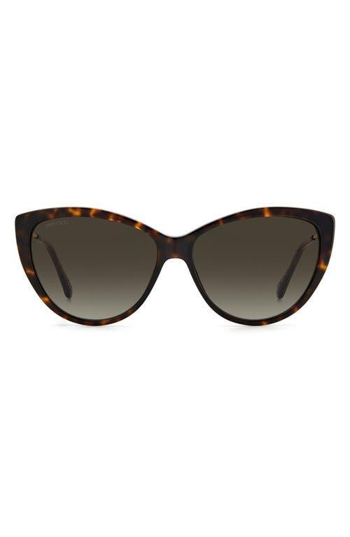 Jimmy Choo 60mm Cat Eye Sunglasses Product Image