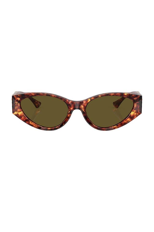 VERSACE Oval Sunglasses in Brown Product Image