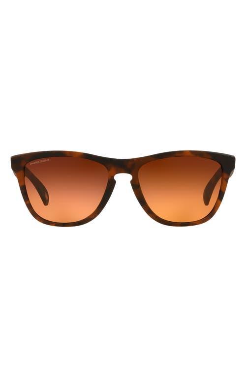 Oakley Frogskins 54mm Gradient Rectangular Sunglasses Product Image