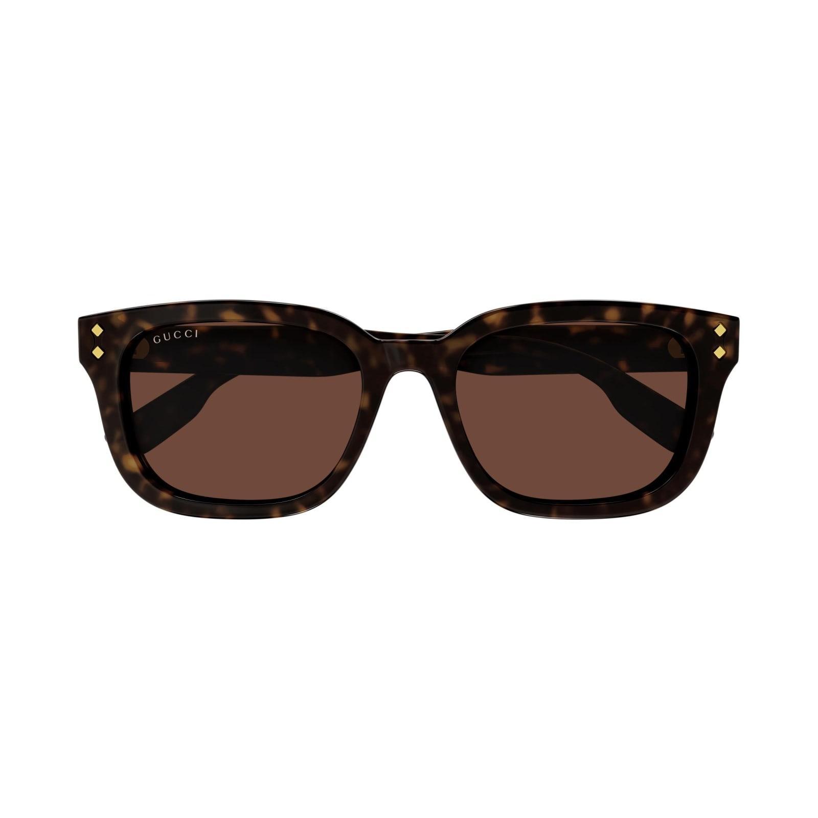 Sunglasses In Marrone/marrone Product Image