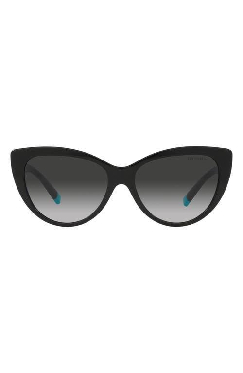 Tiffany & Co. 56mm Gradient Cat Eye Sunglasses Product Image