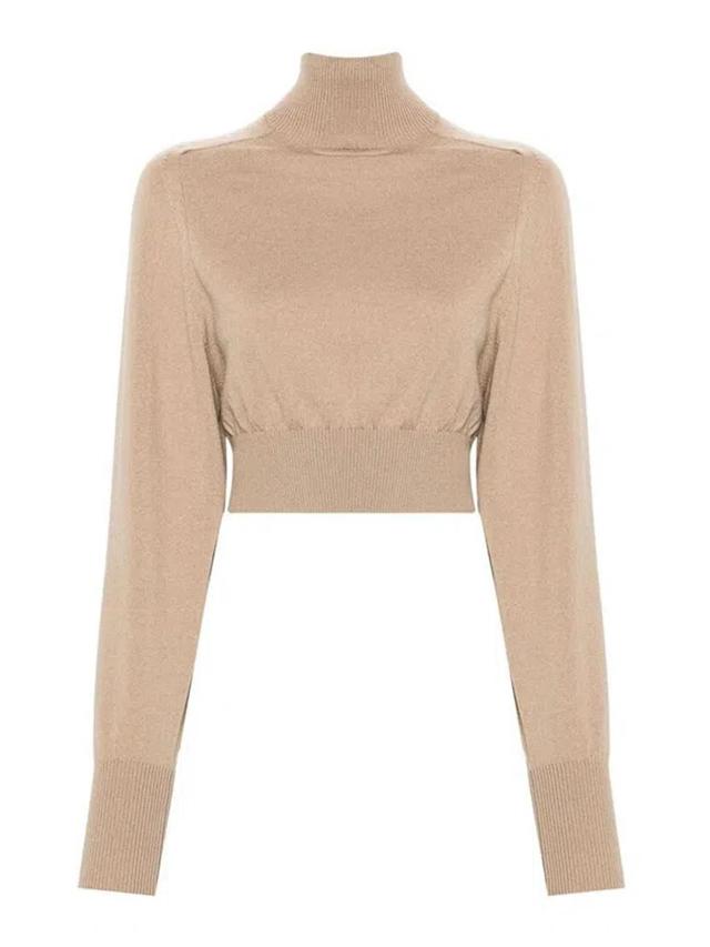 Roll-neck Wool Jumper In Brown Product Image