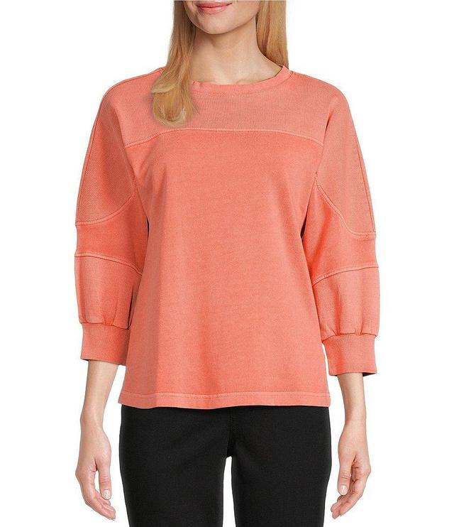 Westbound Petite Size Knit 3/4 Sleeve Crew Neck Pullover Product Image