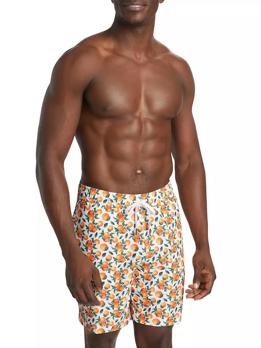 COLLECTION Oranges Swim Shorts Product Image