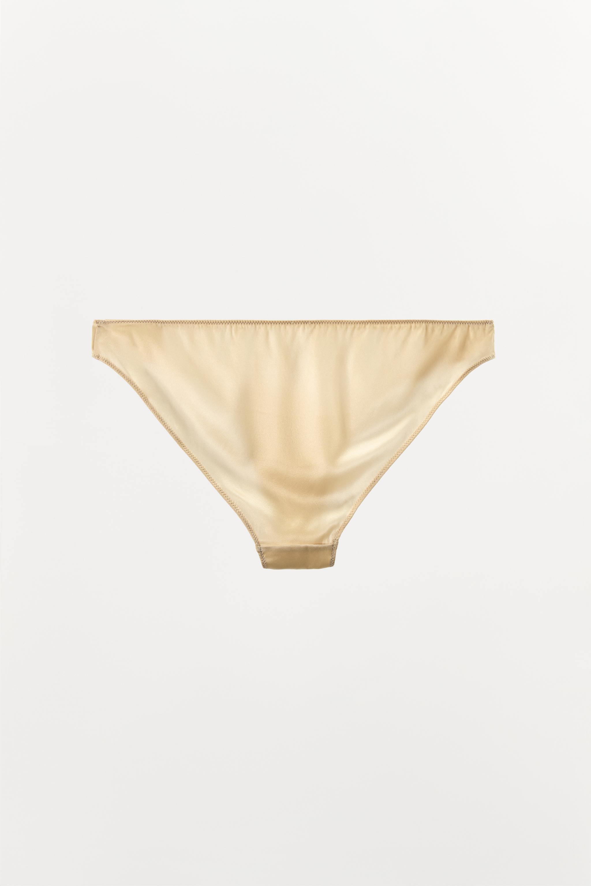 SATIN EFFECT MESH PANTIES Product Image