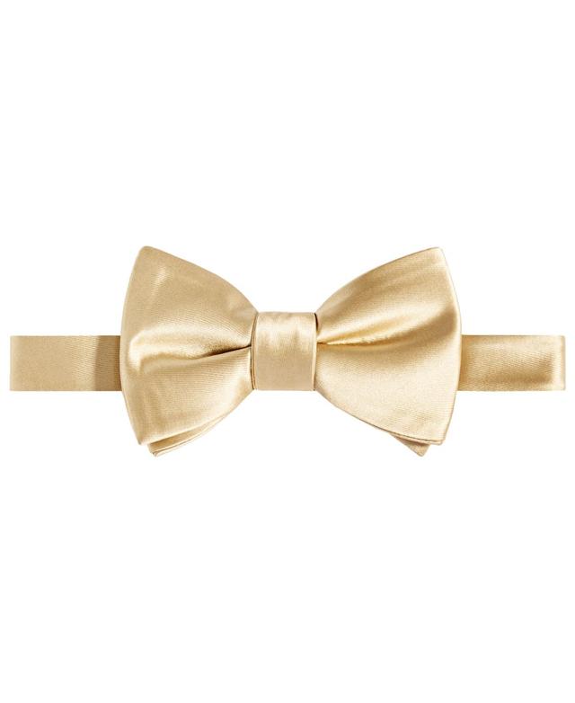 Tayion Collection Mens Purple & Gold Solid Bow Tie Product Image