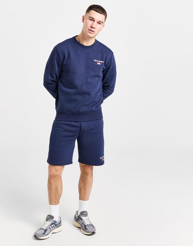 Polo Ralph Lauren Small Logo Crew Sweatshirt Product Image