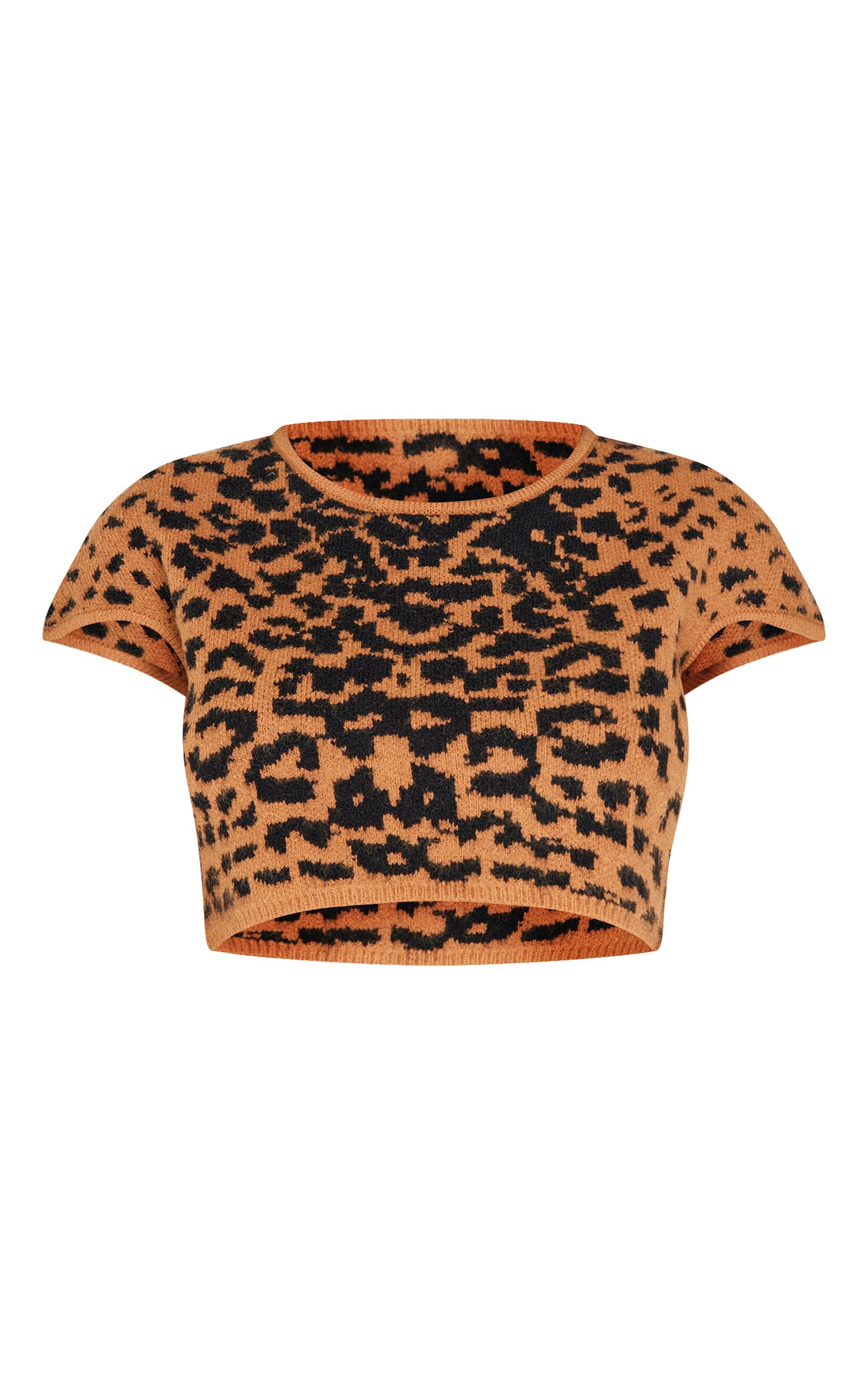 Leopard Print Textured Knit Basic Crop Top Product Image