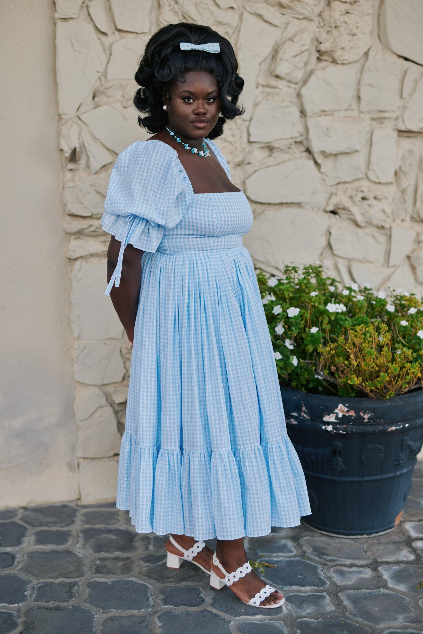 The Blue Gingham Market Dress Product Image