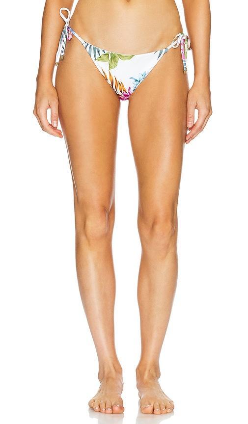 Bella Tie Side Bikini Bottom Product Image