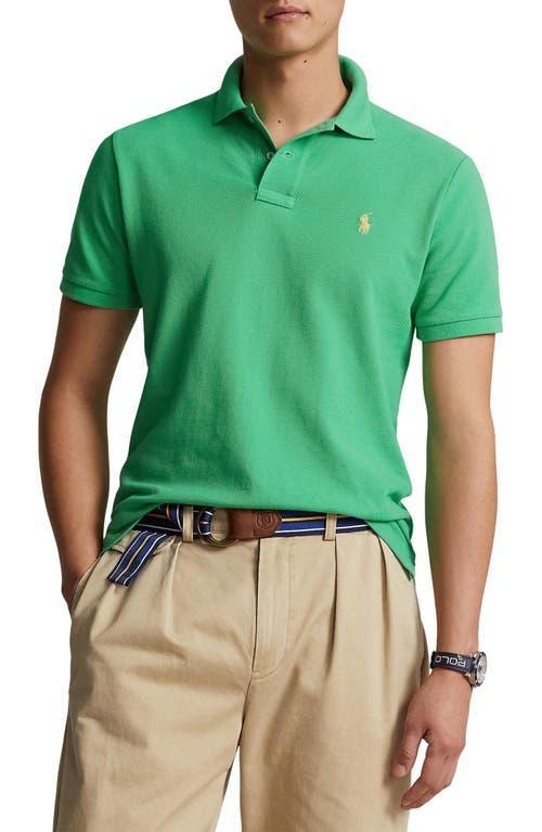 Polo Ralph Lauren Solid Cotton Piqu Polo Product Image