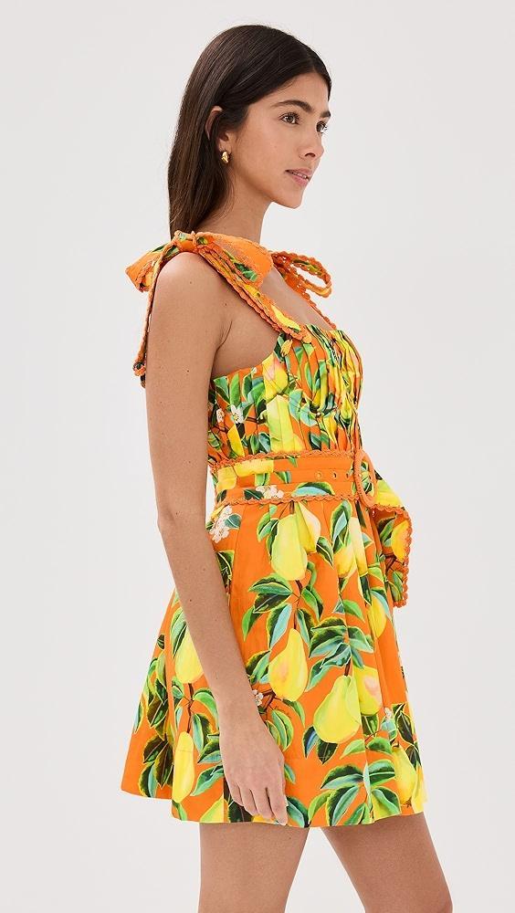 FARM Rio Orange Chic Pears Mini Dress | Shopbop Product Image