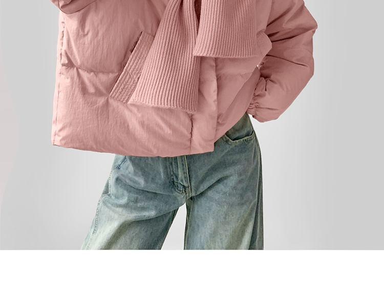 Plain Zip Puffer Jacket Product Image