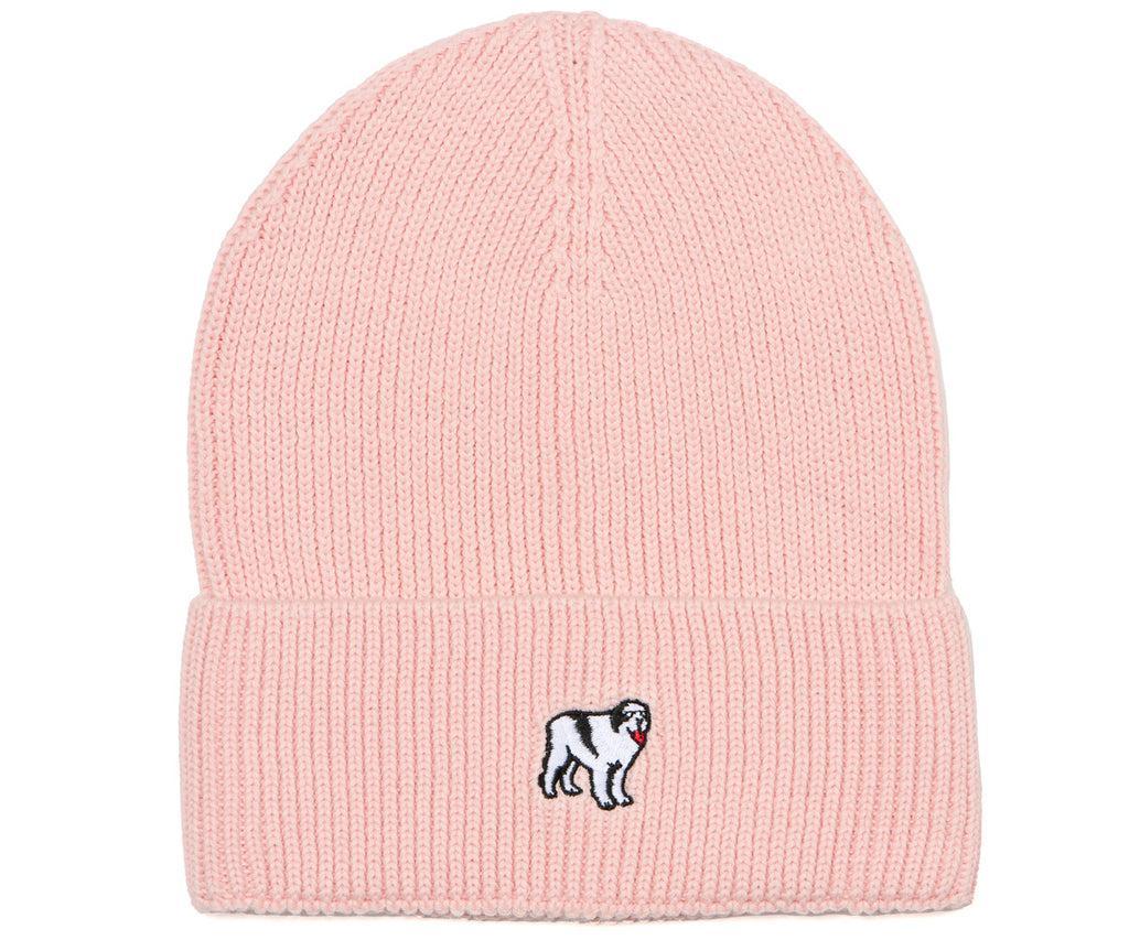 Icon Beanie Product Image