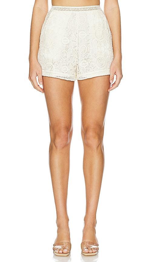 High Waist Shorts Product Image