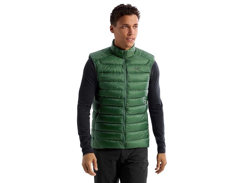 Arc'teryx Cerium Vest Men's Clothing Product Image