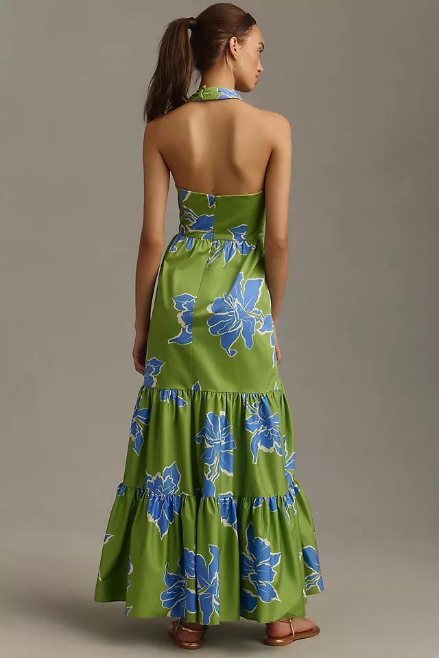 Hutch Floral Halter Maxi Dress Product Image