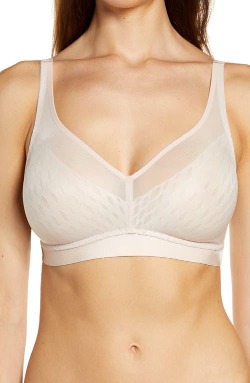 Wacoal Elevated Allure Wire Free Bra Product Image