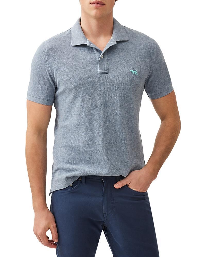 Rodd & Gunn The Gunn Piqu Sports Fit Cotton Polo Product Image