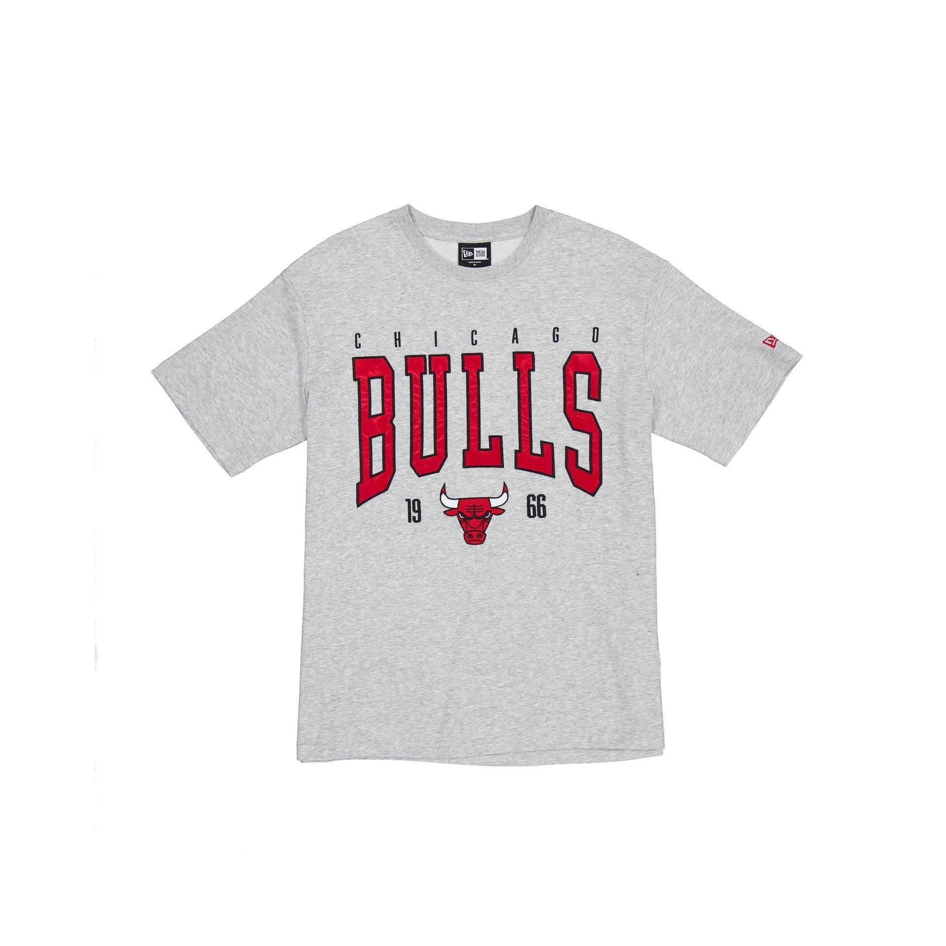 Chicago Bulls Sport Classics Gray T-Shirt Male Product Image