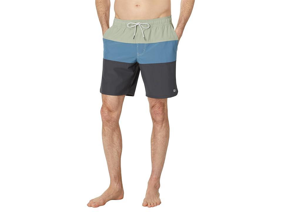 Salty Crew Beacons 2 Elastic 18 Boardshorts (Dusty Sage) Men's Swimwear Product Image