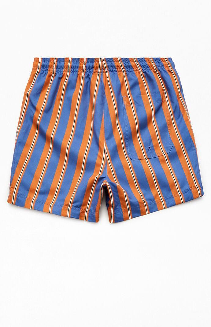 Mens Cannes Striped 4.5 Swim Trunks - Product Image