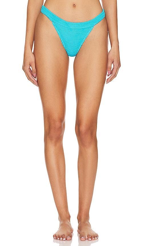 Milo Brief Bikini Bottom Product Image