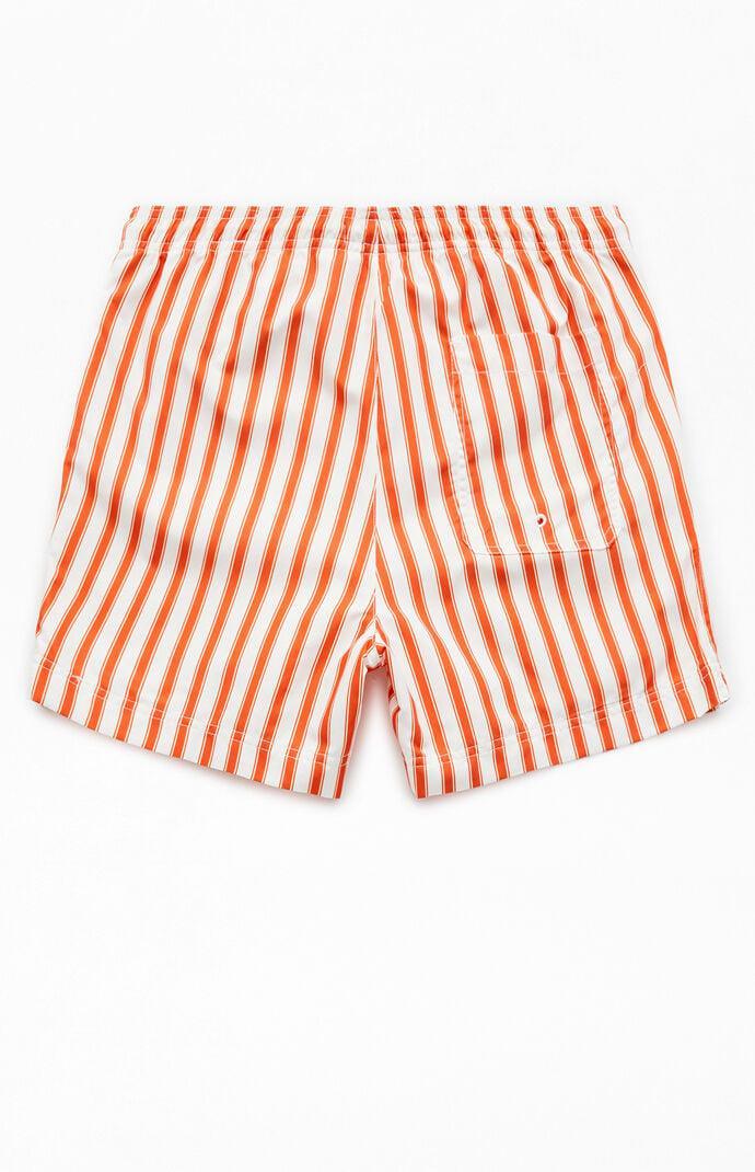 Men's Mandarin Striped 4.5" Swim Trunks Product Image