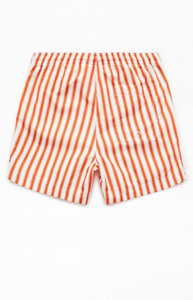 Men's Mandarin Striped 4.5" Swim Trunks Product Image