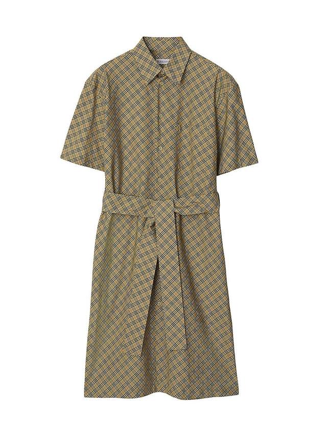 Womens Check Cotton Belted Shirtdress Product Image