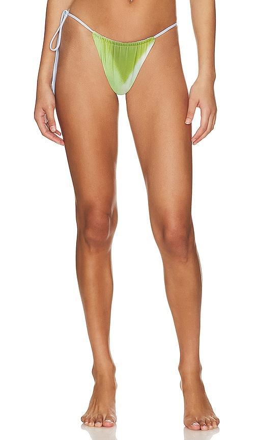 BIKINI-SLIP PALMERA Product Image