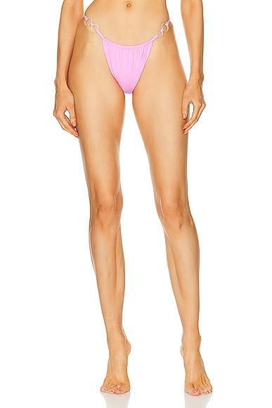 Palm Cha Cha Bikini Bottom Pink. (also in 2/M). Product Image