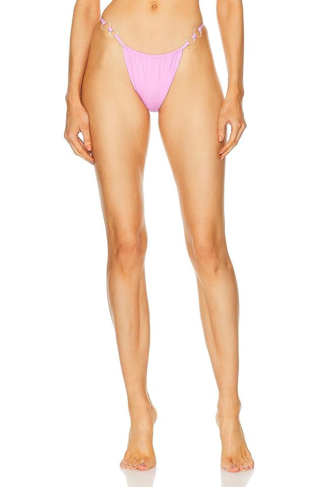 Palm Cha Cha Bikini Bottom Pink. (also in 2/M). Product Image