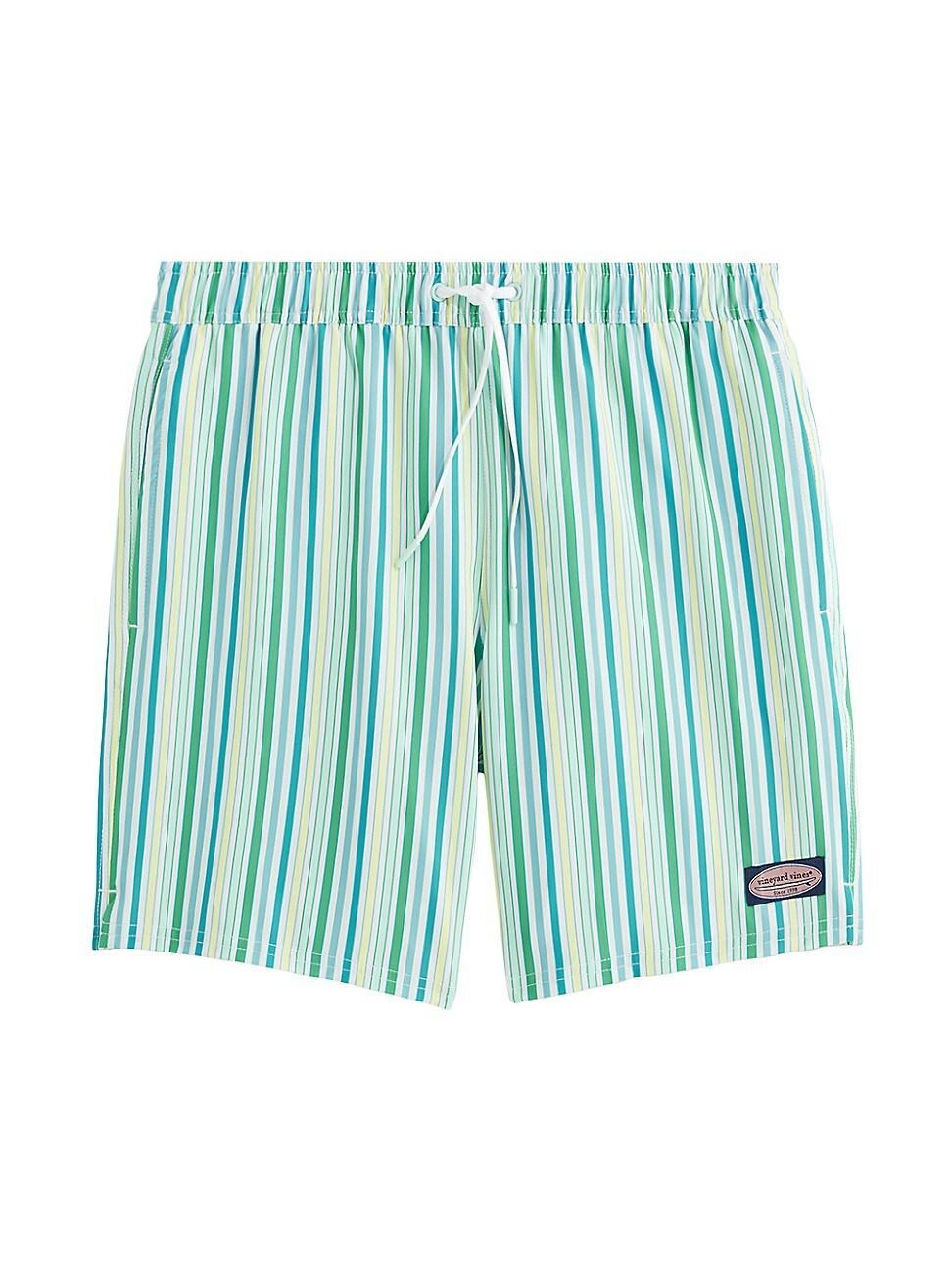 Mens 7-Inch Striped Chappy Swim Trunks Product Image