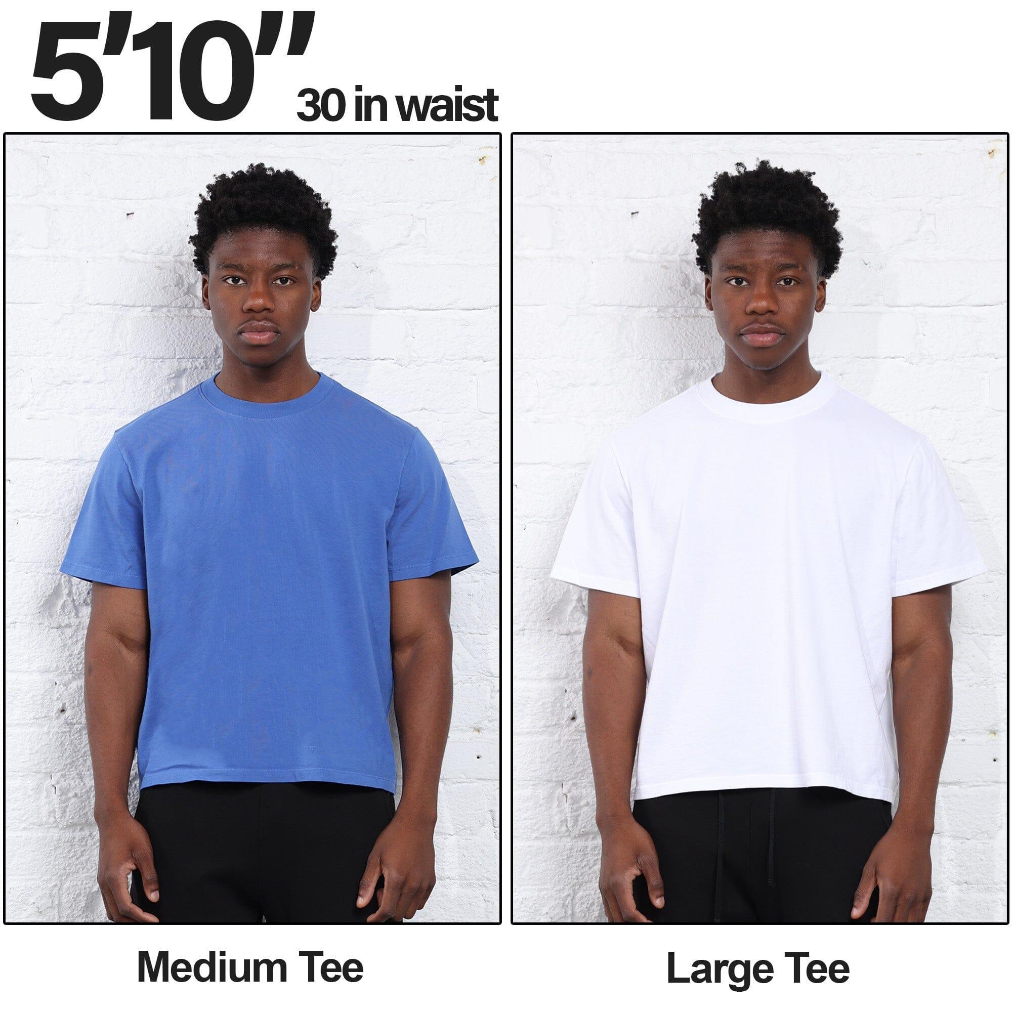 3-Pack | The Silverlake Crop Tee II Product Image