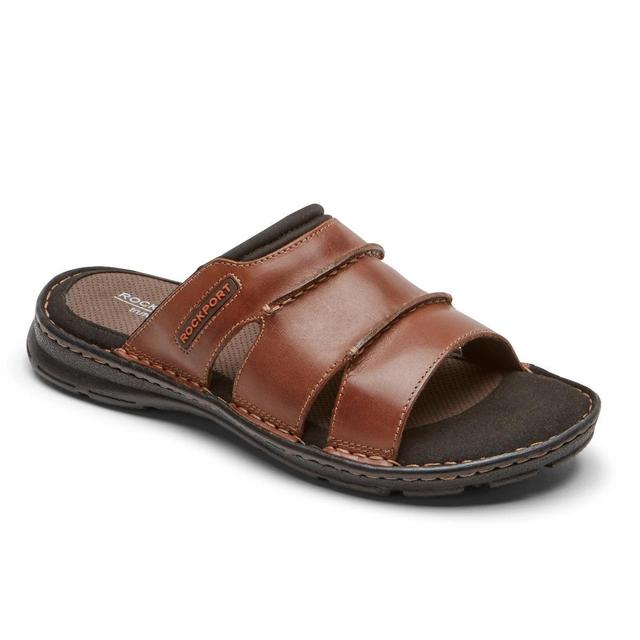 Men's Darwyn Slide Product Image