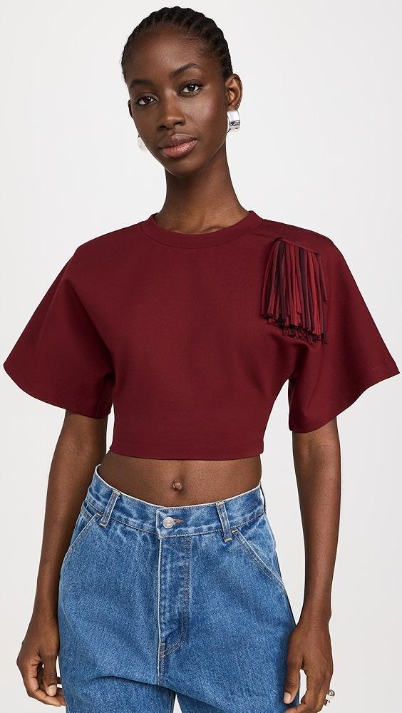 AREA Fringe Brooch Cropped T-Shirt | Shopbop Product Image