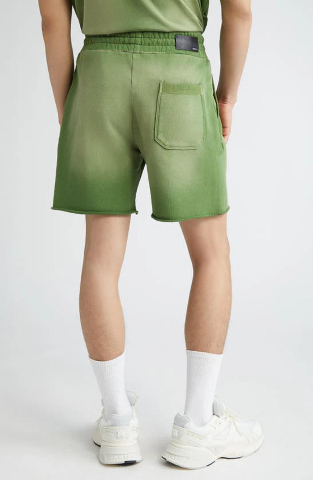 Track Shorts In Green Product Image