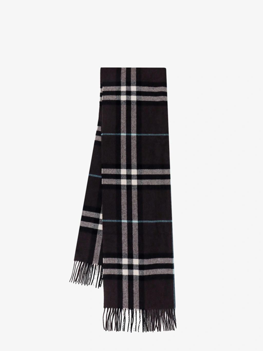 BURBERRY Man  Man Brown Scarves Product Image