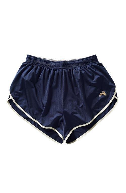 Tracksmith Mens Twilight Shorts Product Image